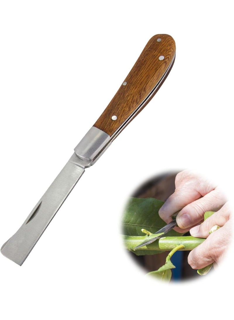 Garden  Pocket Knife, Folding Pocket Knife, Garden Knife, Multi Cutting Tool, Sharp Grafting Knife, Garden Knife, Outdoor Garden Knife, Knife Made of Stainless Steel for Harvesting, Garden Knife for - Image 1